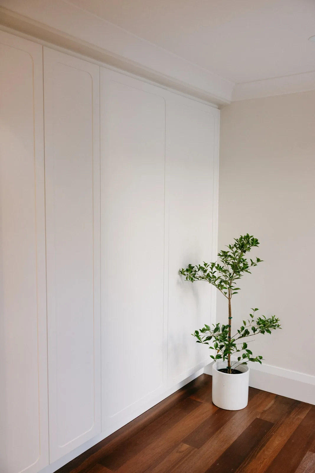 Pantry and tall cupboards after renovation